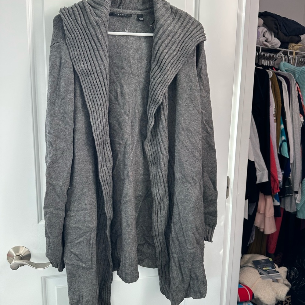 Cyrus Gray Women's Hooded Sweater